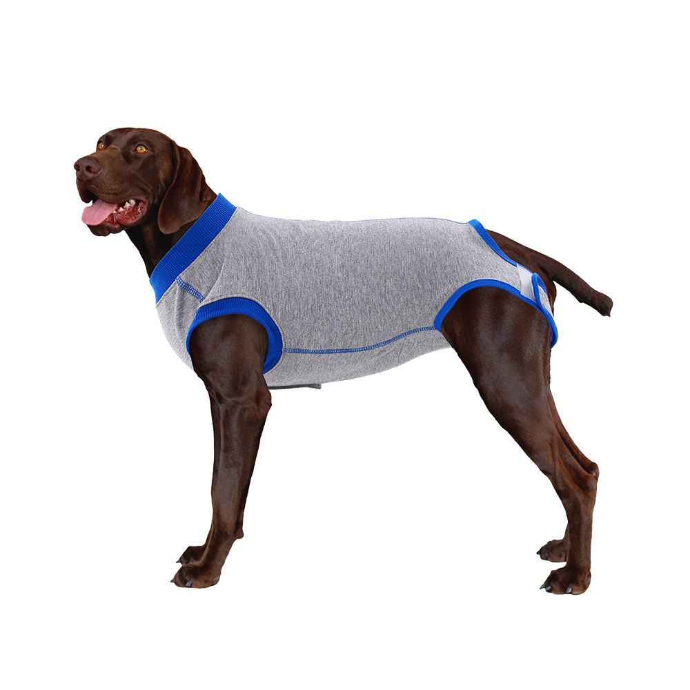 Professional Pet Recovery Suit After Surgery KUOSER