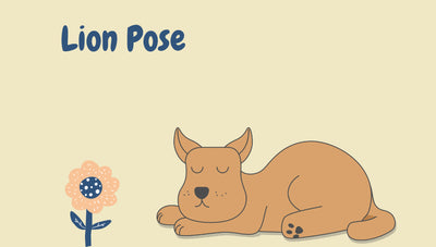 5 Dog Sleeping Positions That Tell You Secrets About Your Pup