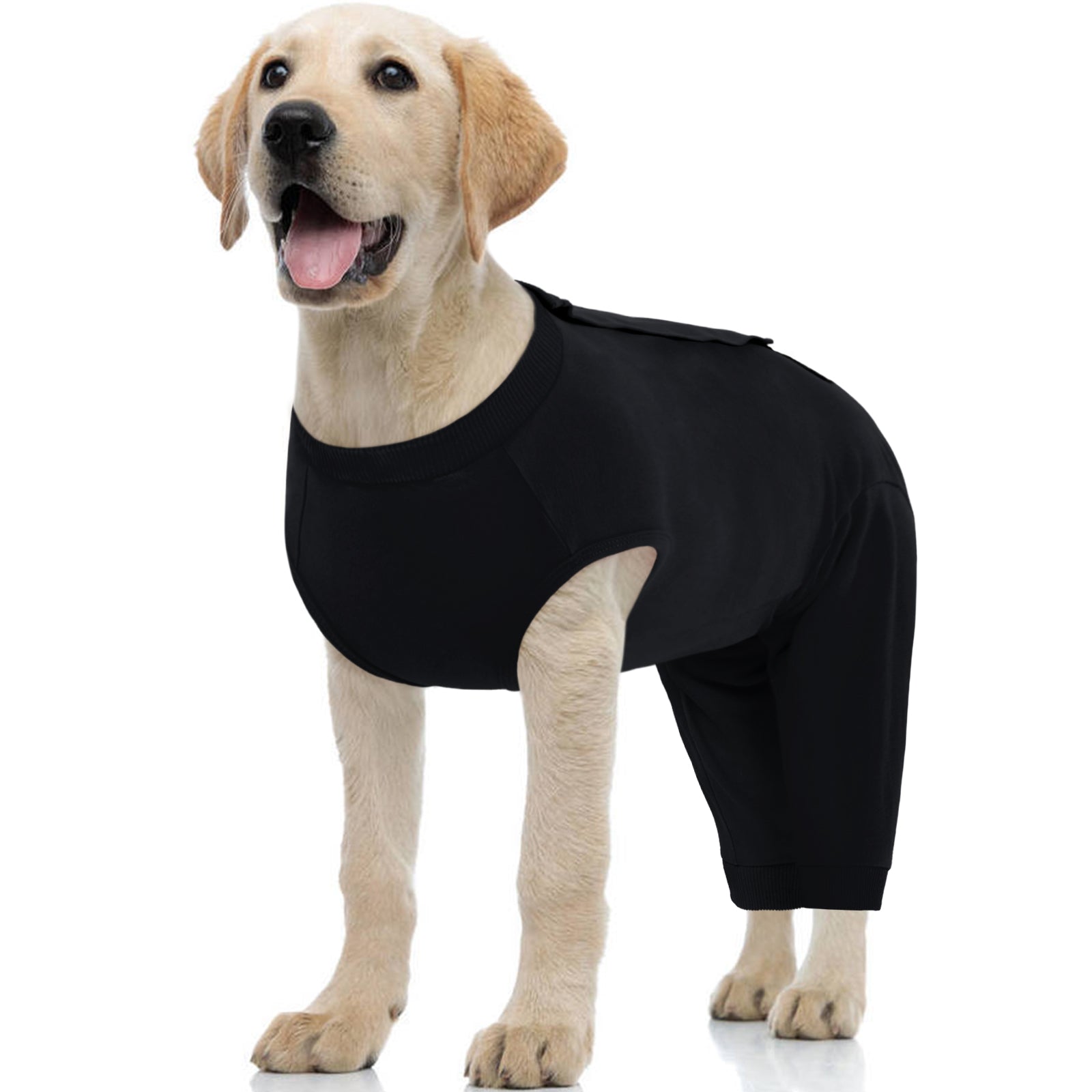 Dog Raptor Suit Dog Recovery Suit for Rear Legs, Dog Surgical Suit – KUOSER