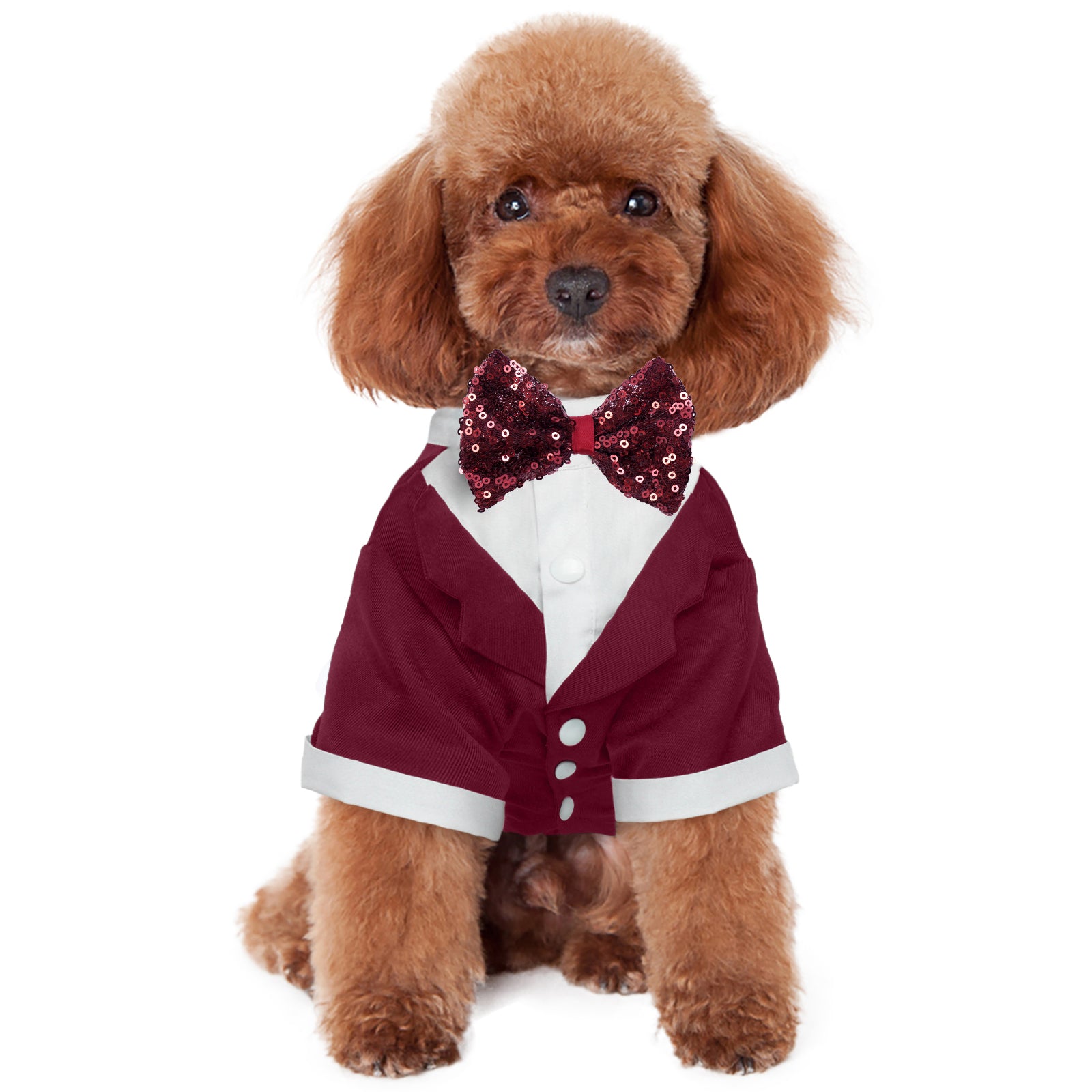 Dog Tuxedo, Dog Wedding Suit with Bow Tie Formal Dog Tux KUOSER Dog Tuxedo, Dog Wedding Suit with Bow Tie Formal Dog Tux KUOSER