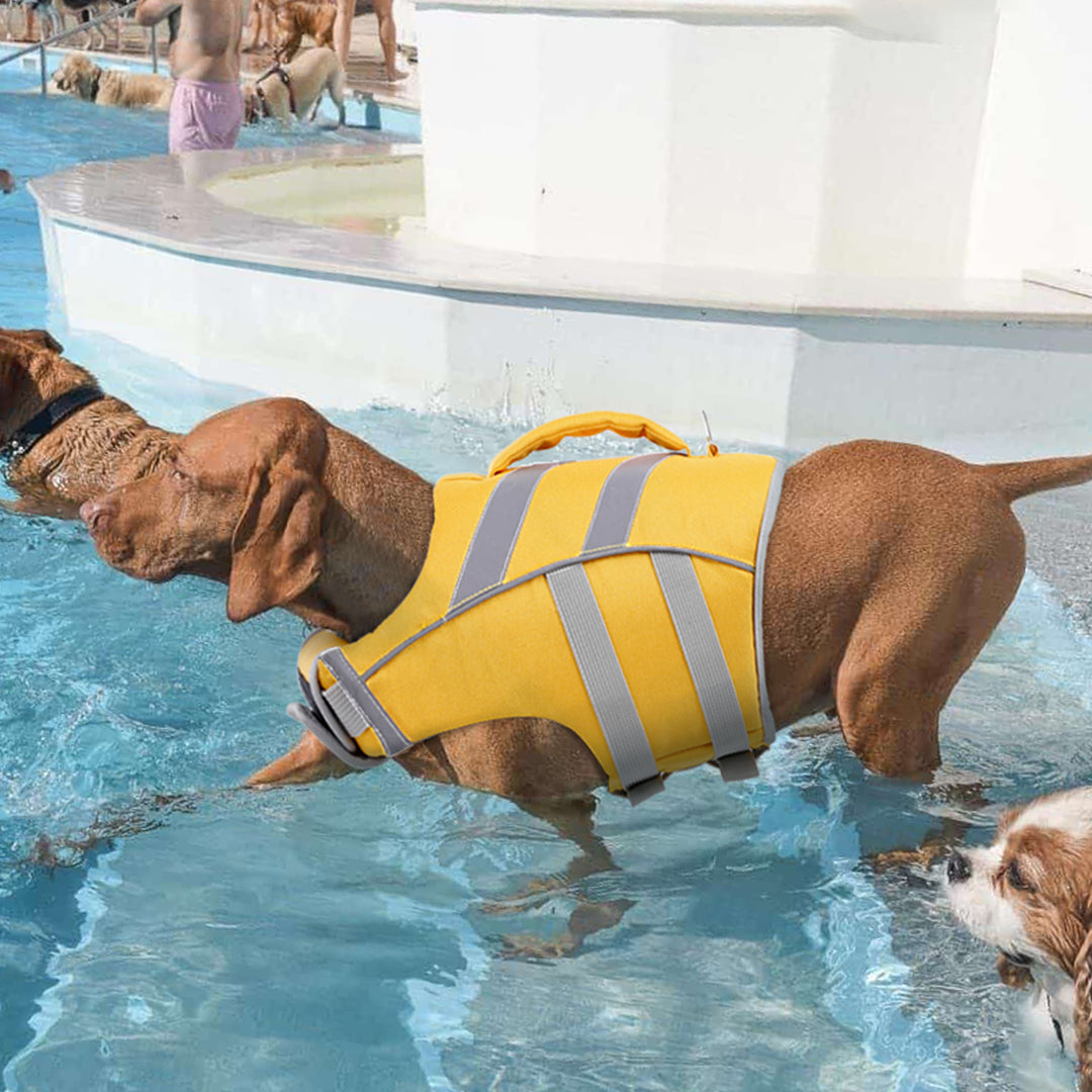 Kuoser Dog Life Jacket Reflective Swim Vest With Rescue Handle