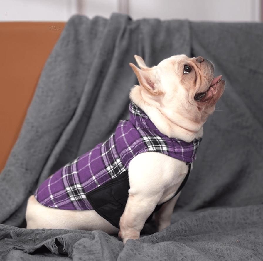 Kuoser dog coats dog jackets on sale