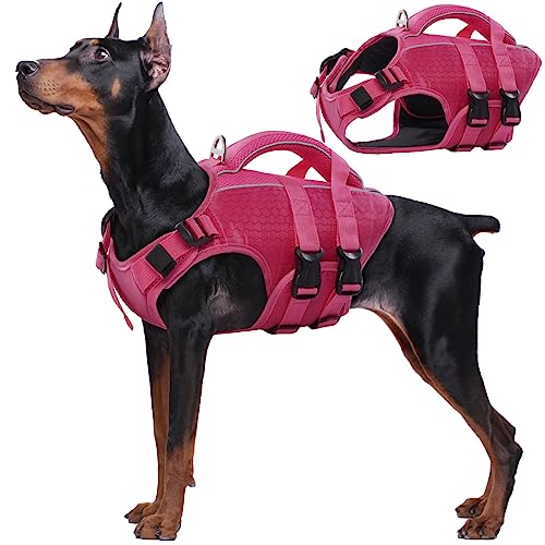 Kuoser Dog Life Jacket, Reflective Life Vest With Rescue Handle For Small Medium Large Dogs Blue Xl 23003a25 C047 4cc4 Acd6 Ec245a957ebf.b18a8b0fda7c7925eb57f45a8f0a7505