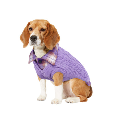 Dog Turtleneck Stitching Knitwear Sweater